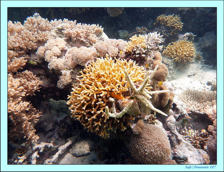 2011 - 08 - Bohey Dulang Island 29